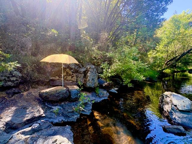 17500 Winding Oaks Road Grass Valley, CA 95949 - Photo 49 of 55