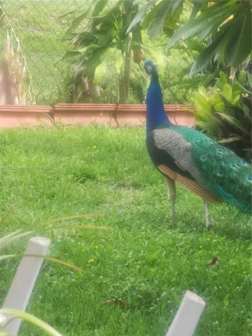 a view of yard with green space