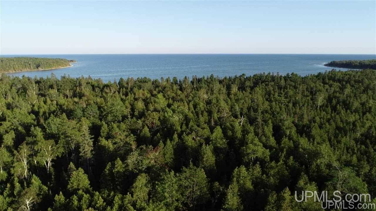 16th Road Garden, MI 49835 - Photo 37 of 44