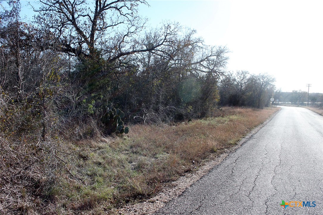 100 Track Road Dale, TX 78616 - Photo 2 of 12 a view of a dry yard with trees