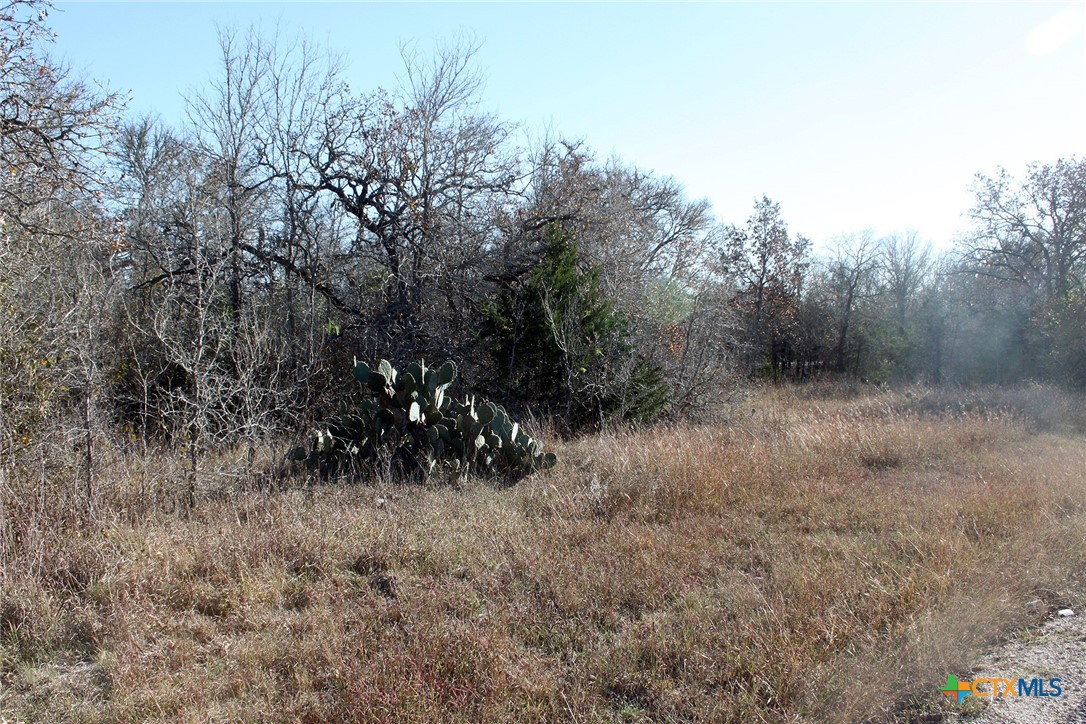 100 Track Road Dale, TX 78616 - Photo 3 of 12 a view of a dry yard