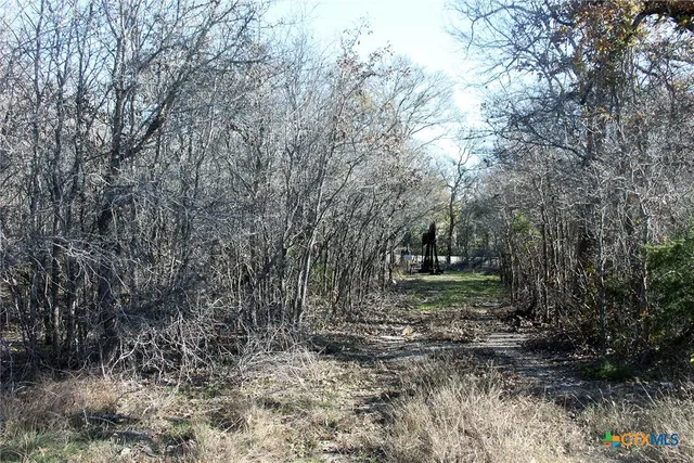a view of a yard with large trees