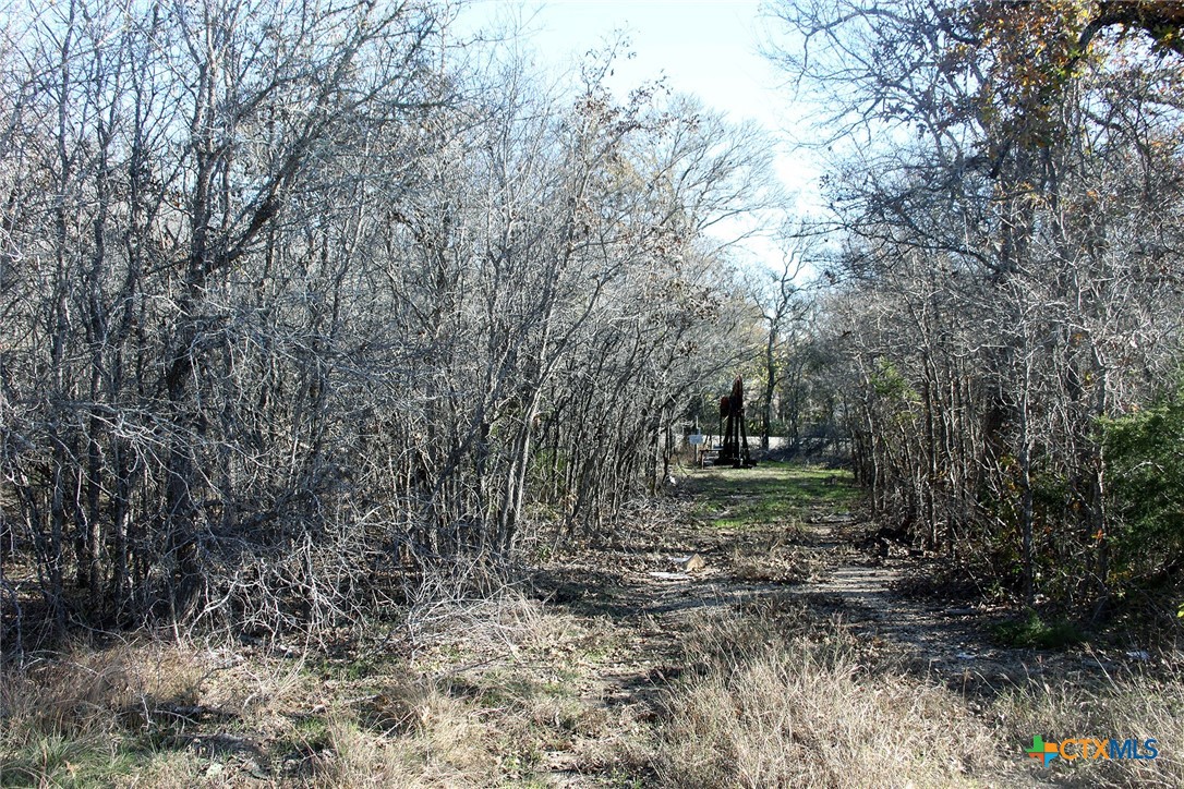 100 Track Road Dale, TX 78616 - Photo 4 of 12 a view of a yard with large trees