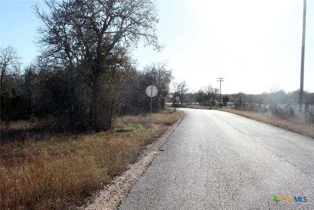 a view of a rural road with plants and trees