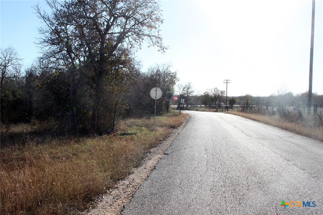 100 Track Road Dale, TX 78616 - Photo 8 of 12 a view of a rural road with plants and trees