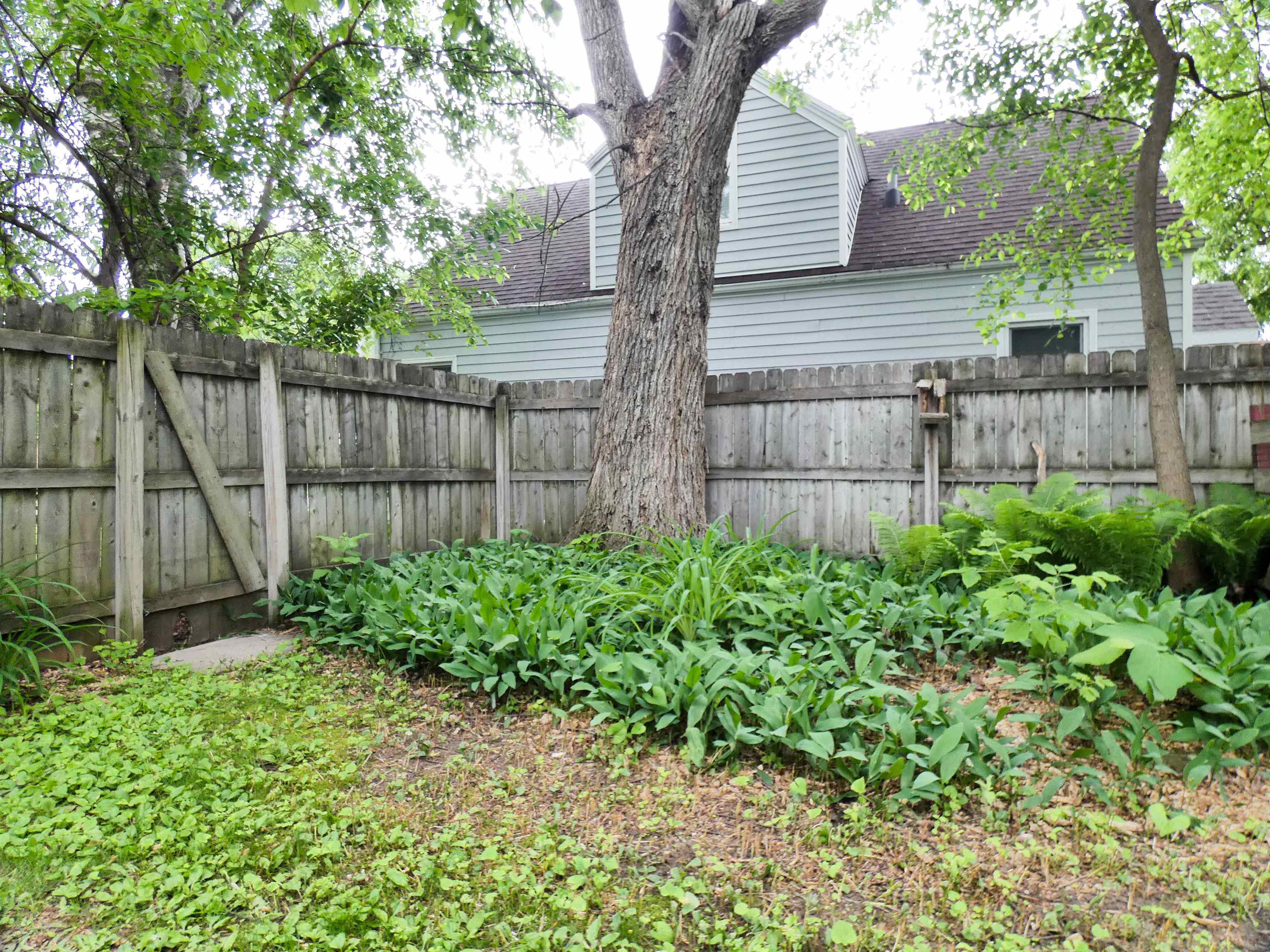 107 South Andrews Street Shawano, WI 54166 - Photo 35 of 47