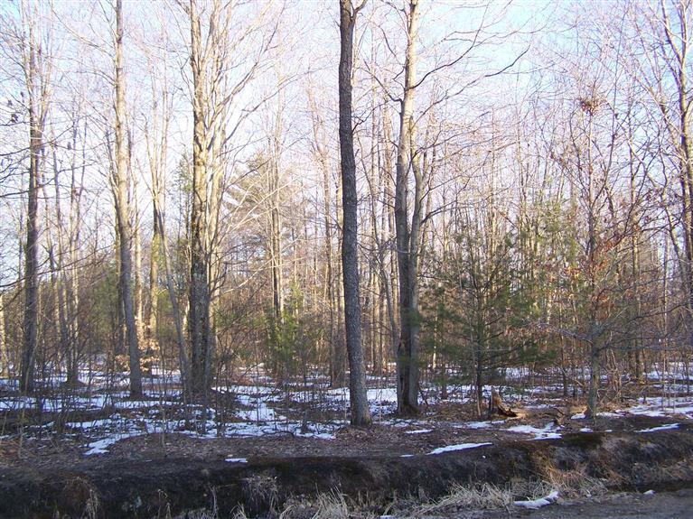 4499 Duck Lake Road Whitehall, MI 49461 - Photo 1 of 1 Primary Photo