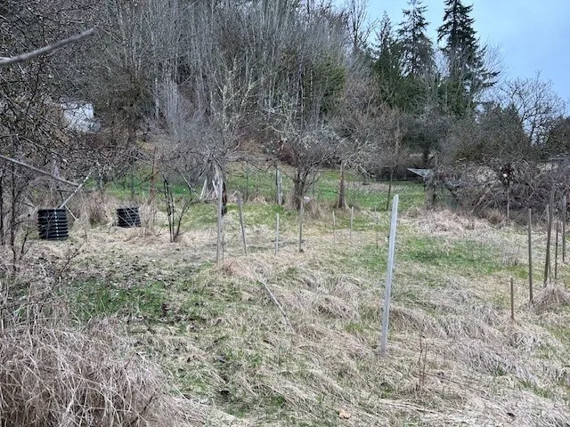 a house view with a backyard space