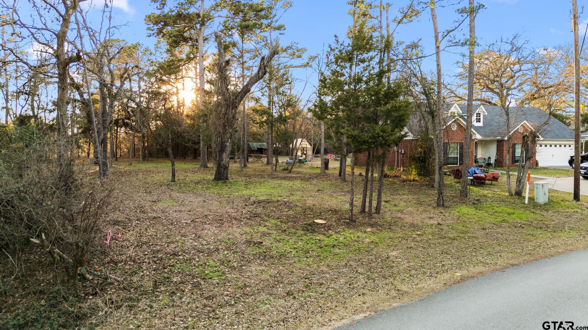 16029 Cumberland Way Bullard, TX 75757 - Photo 11 of 13 a view of outdoor space with trees