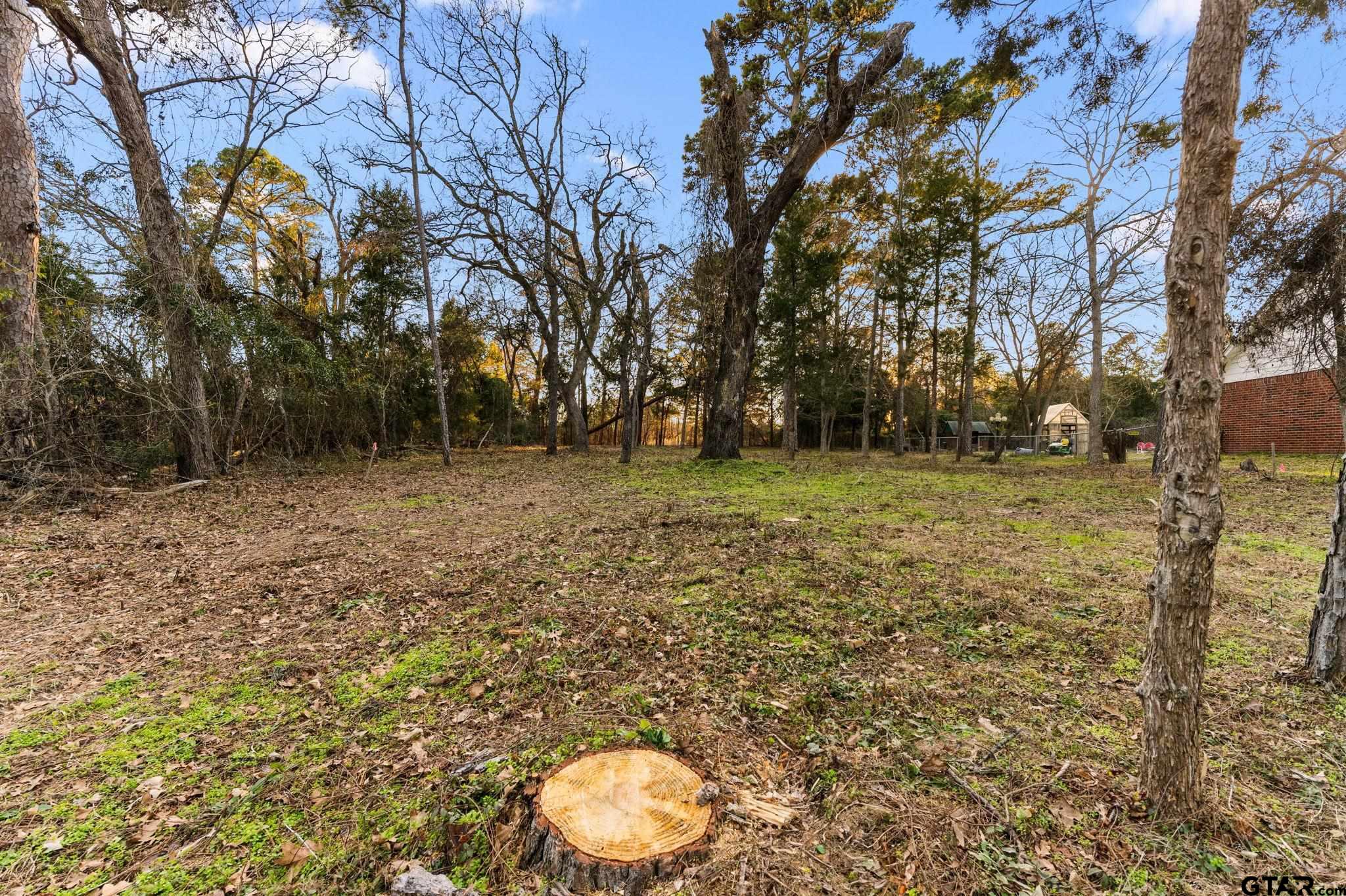 16029 Cumberland Way Bullard, TX 75757 - Photo 12 of 13 a backyard of a house with lots of green space