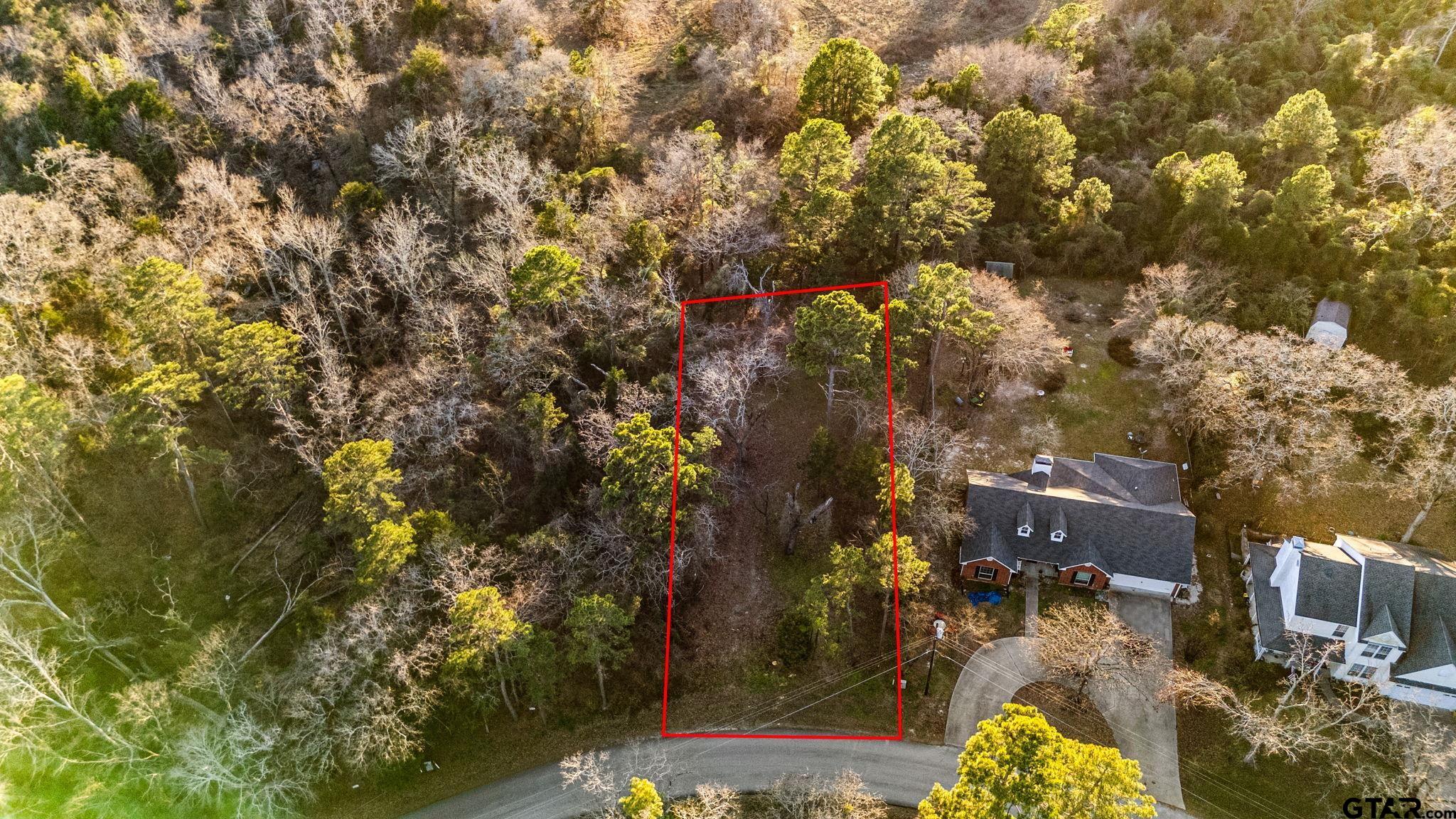 16029 Cumberland Way Bullard, TX 75757 - Photo 2 of 13 a view of city and mountain
