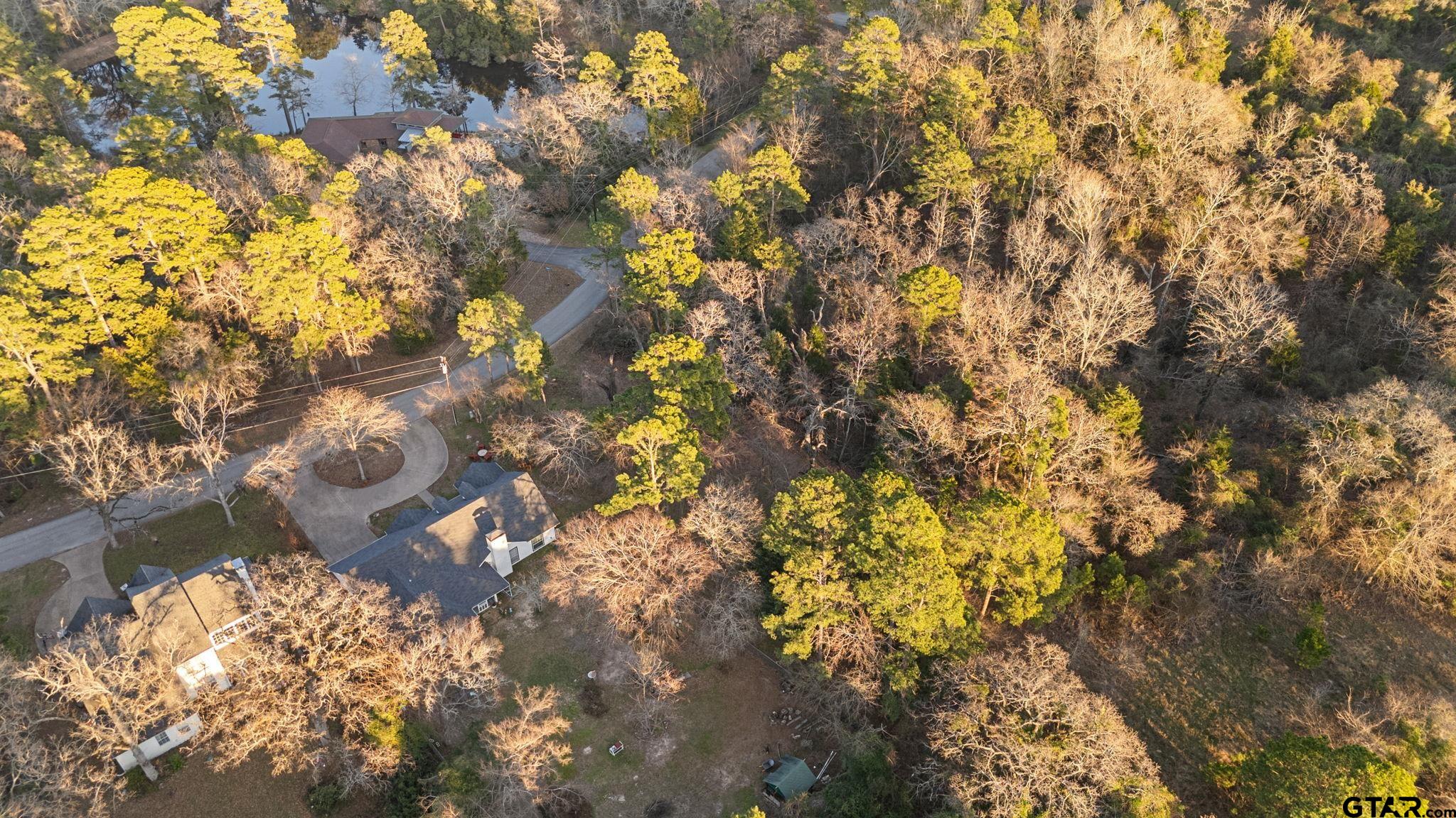 16029 Cumberland Way Bullard, TX 75757 - Photo 5 of 13 a view of a tree