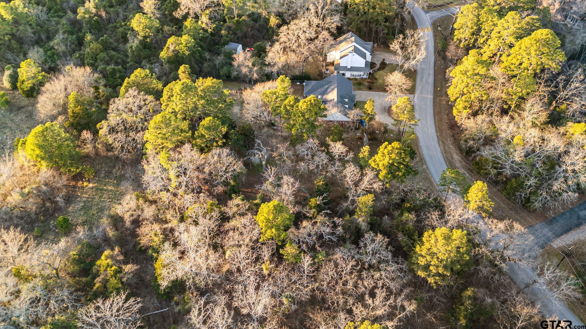 16029 Cumberland Way Bullard, TX 75757 - Photo 7 of 13 a view of a tree