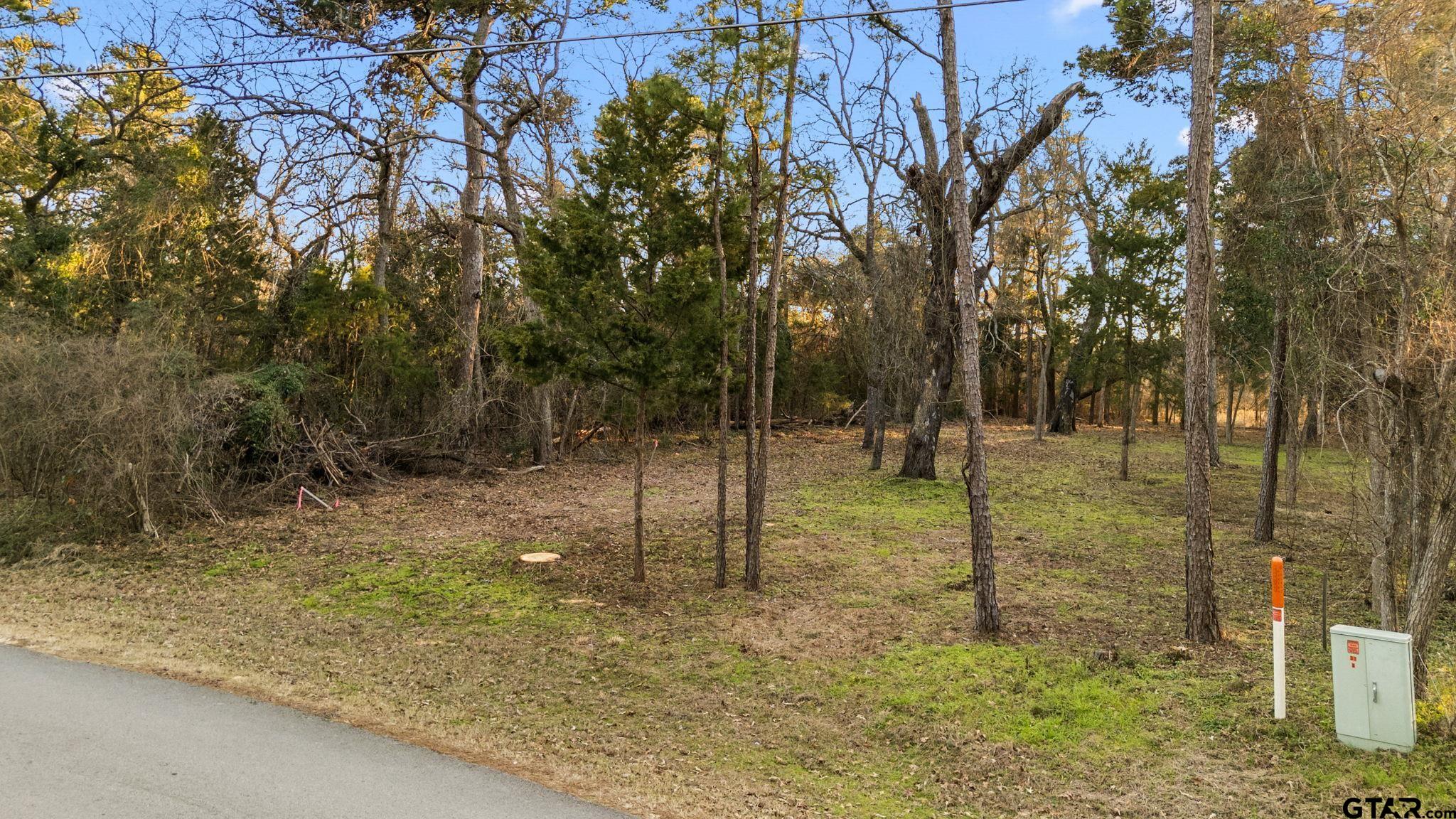 16029 Cumberland Way Bullard, TX 75757 - Photo 10 of 13 a backyard of a house