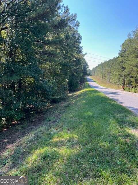 0 Spradlin Road Franklin, GA 30217 - Photo 1 of 1 a view of yard with green space