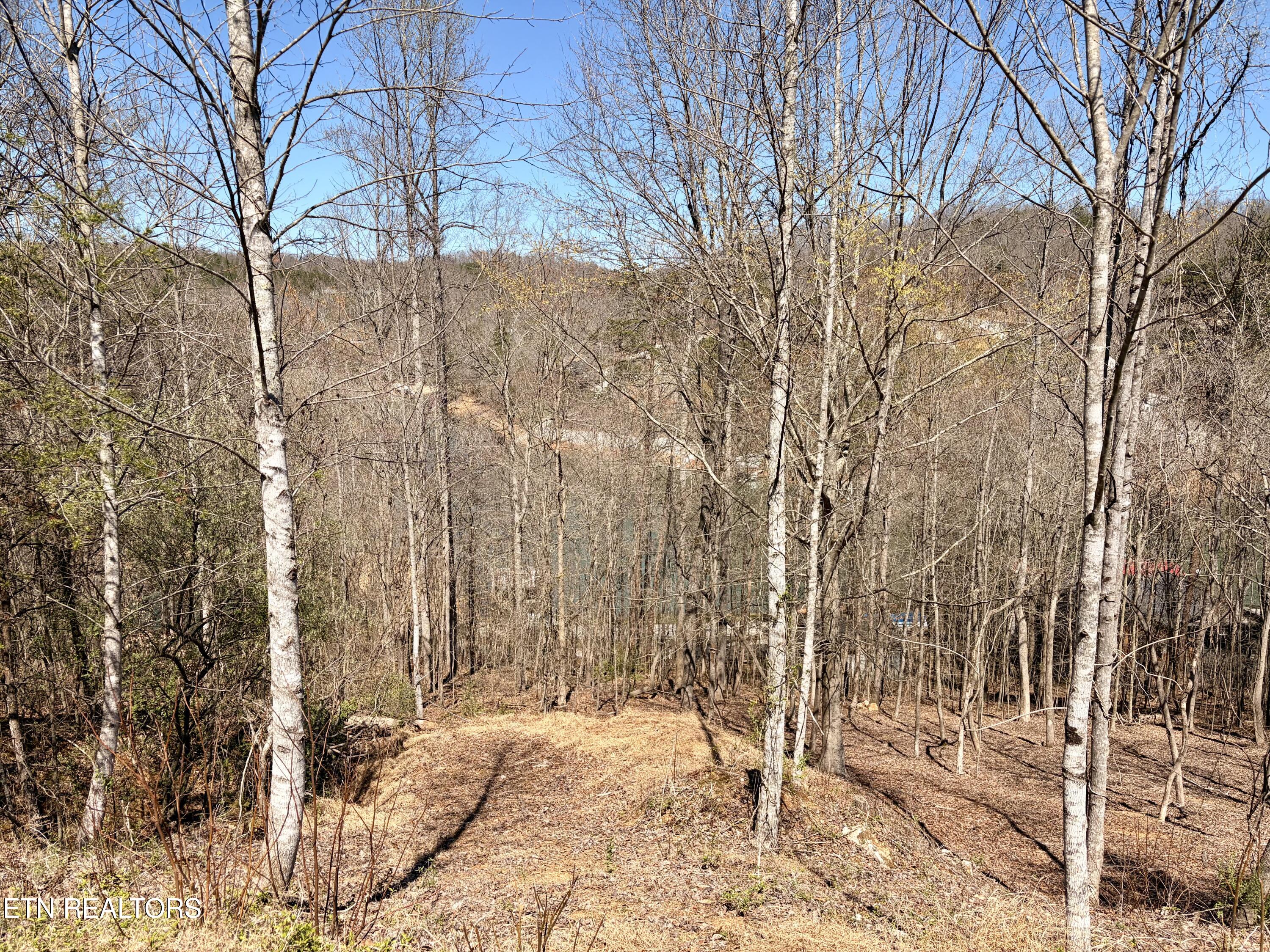113 Laurel Way La Follette, TN 37766 - Photo 1 of 30 IMG_0034