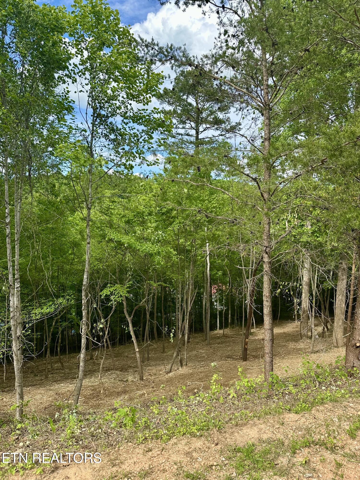 113 Laurel Way La Follette, TN 37766 - Photo 18 of 30 IMG_1145