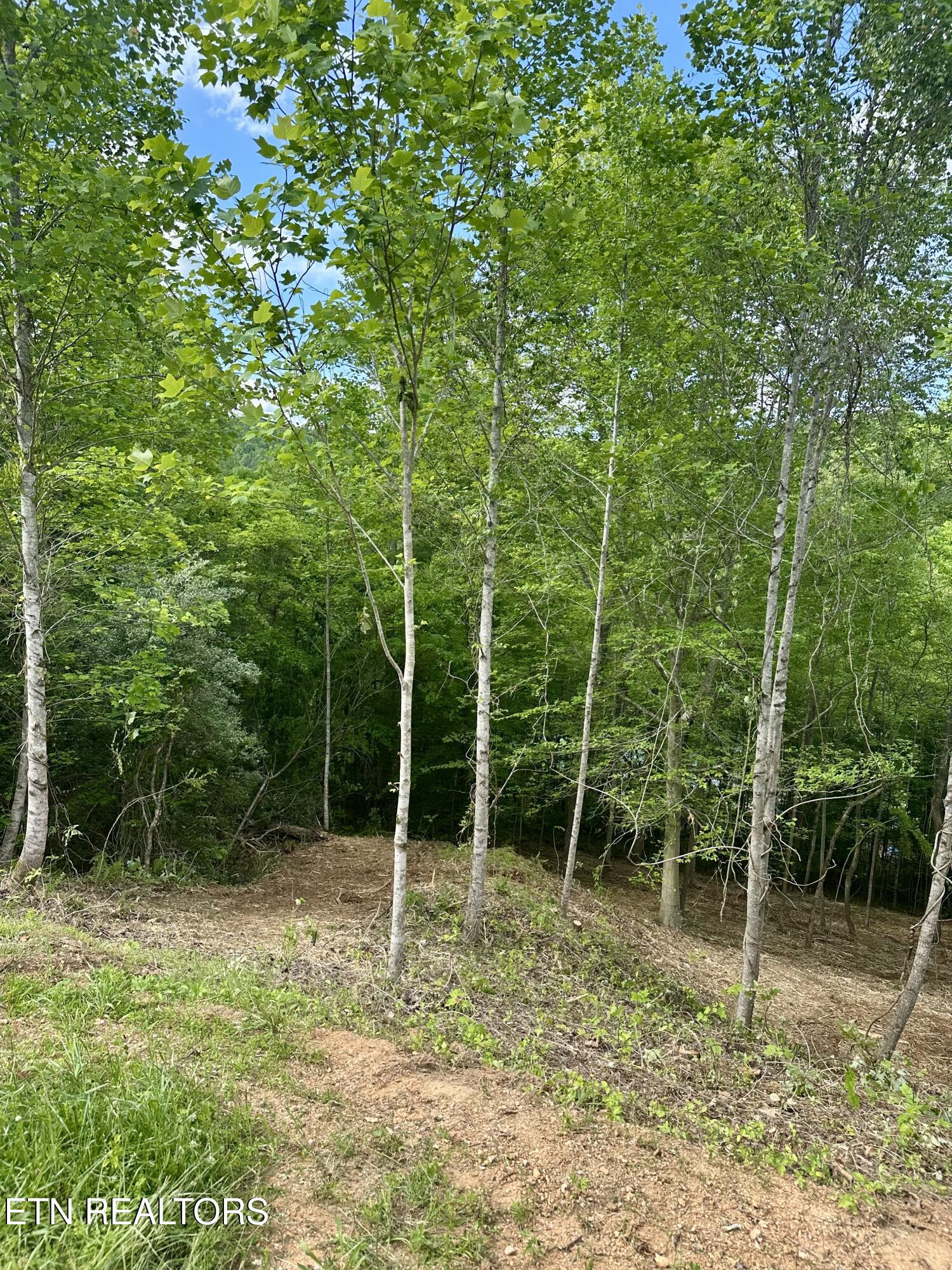 113 Laurel Way La Follette, TN 37766 - Photo 20 of 30 IMG_1147