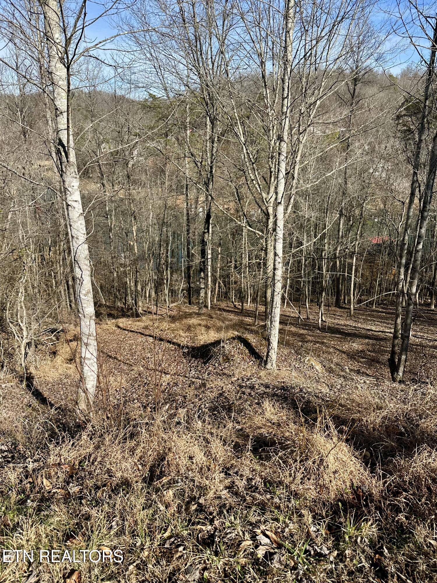113 Laurel Way La Follette, TN 37766 - Photo 2 of 30 IMG_4040