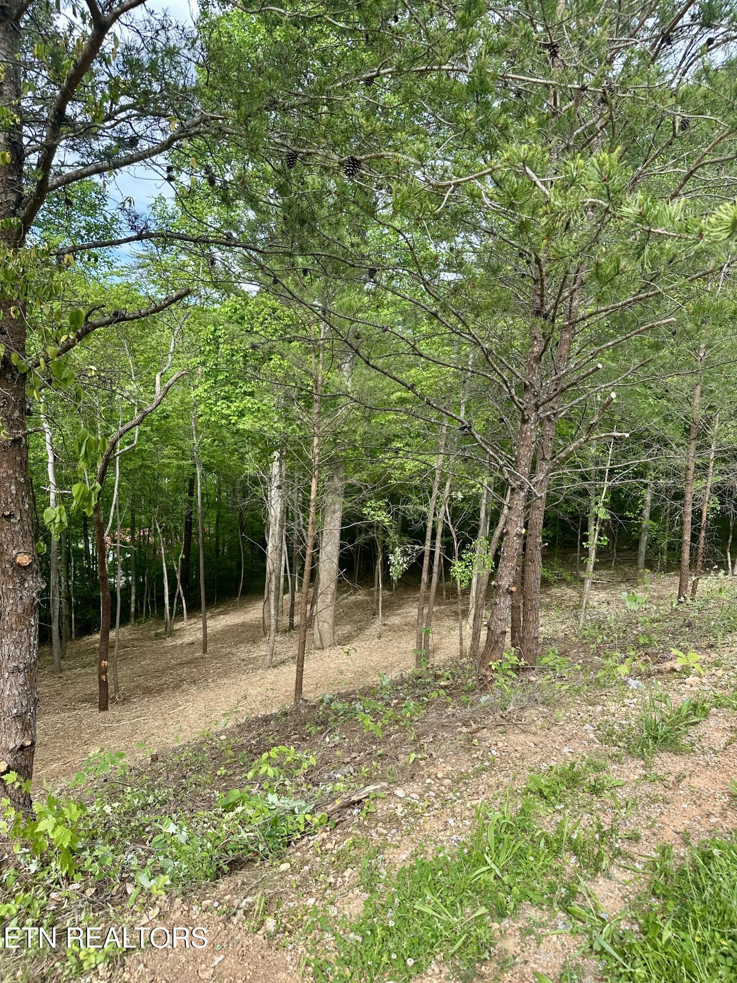 113 Laurel Way La Follette, TN 37766 - Photo 21 of 30 IMG_1149