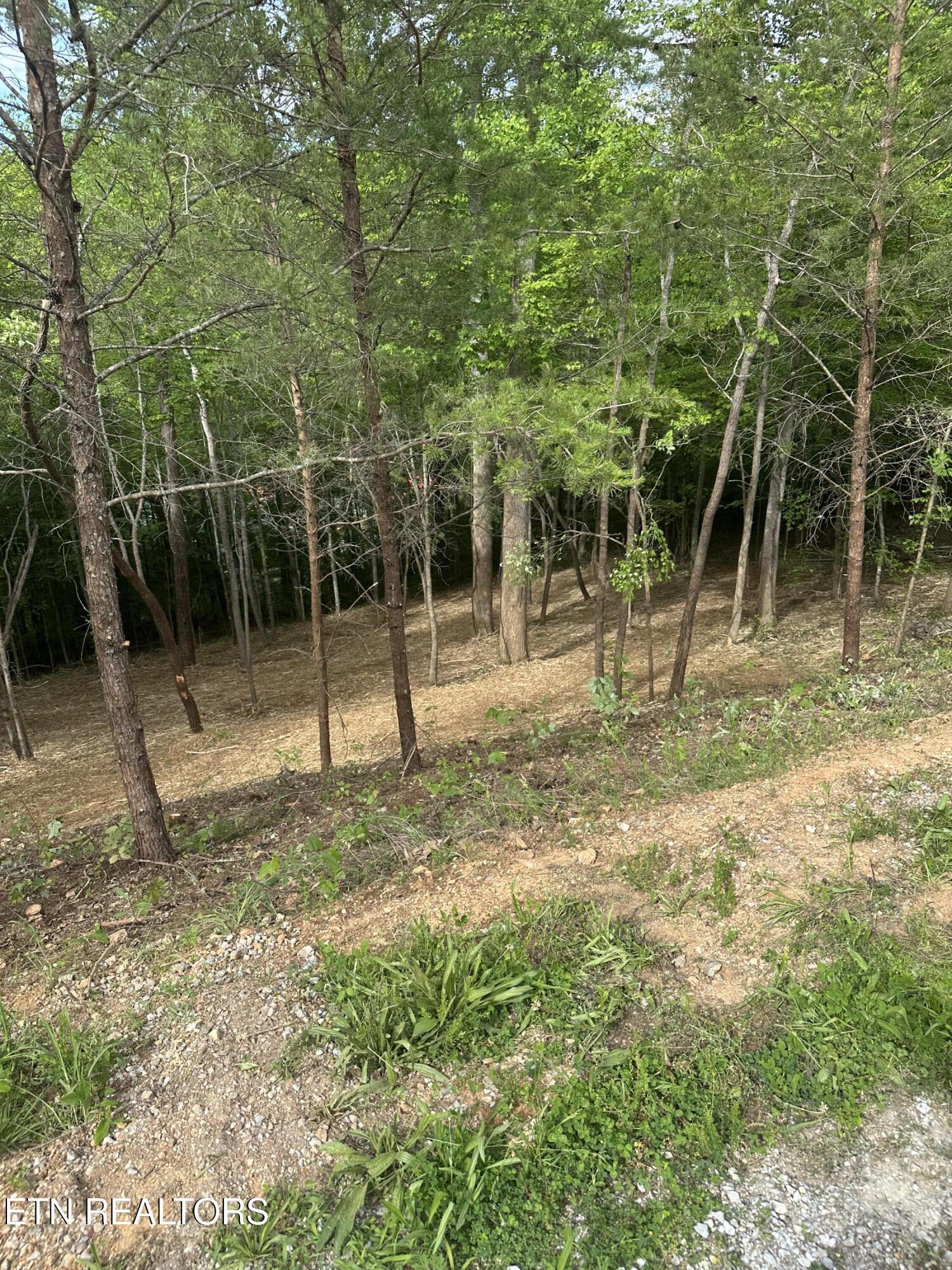 113 Laurel Way La Follette, TN 37766 - Photo 22 of 30 IMG_1152