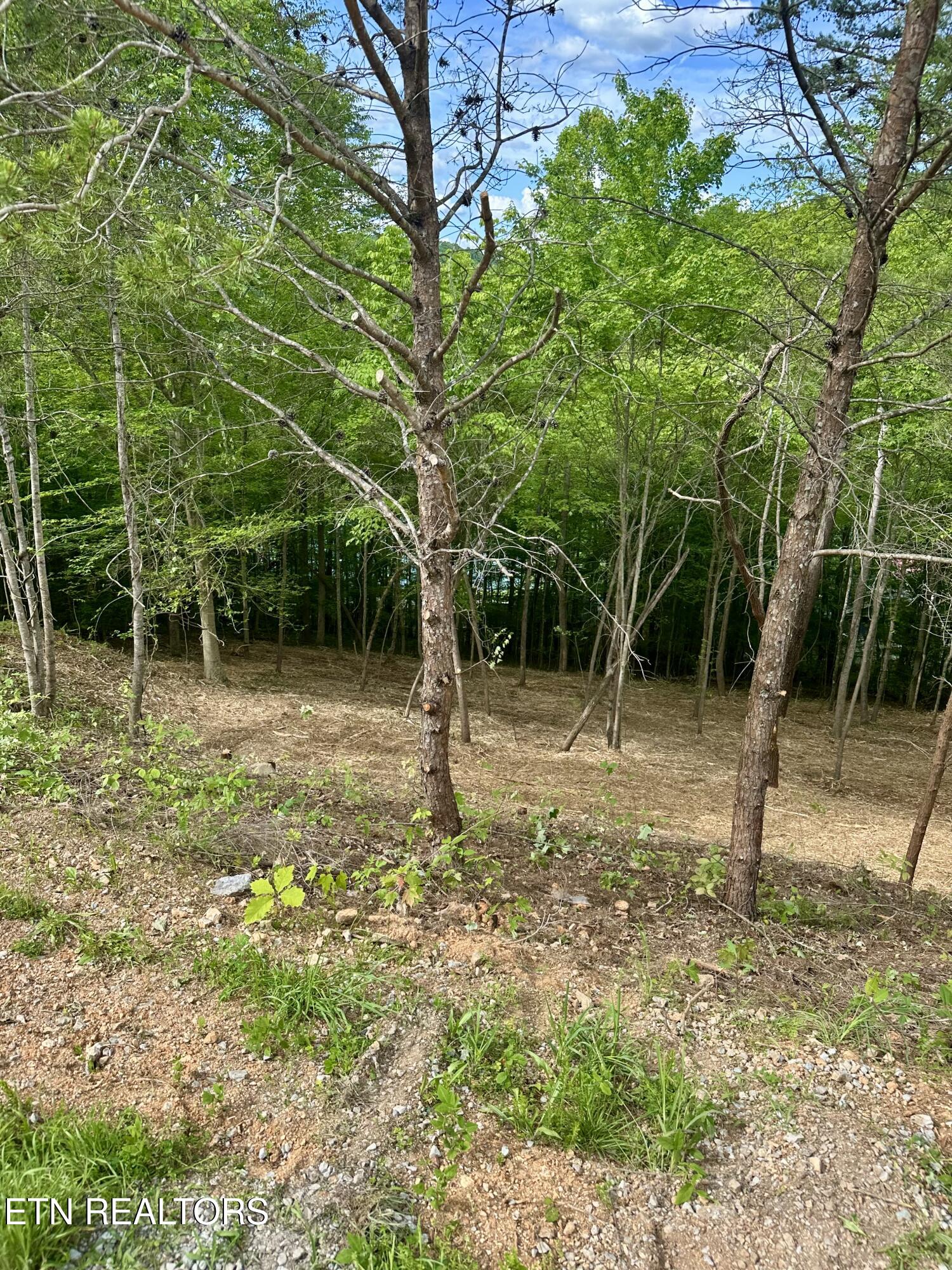 113 Laurel Way La Follette, TN 37766 - Photo 23 of 30 IMG_1153