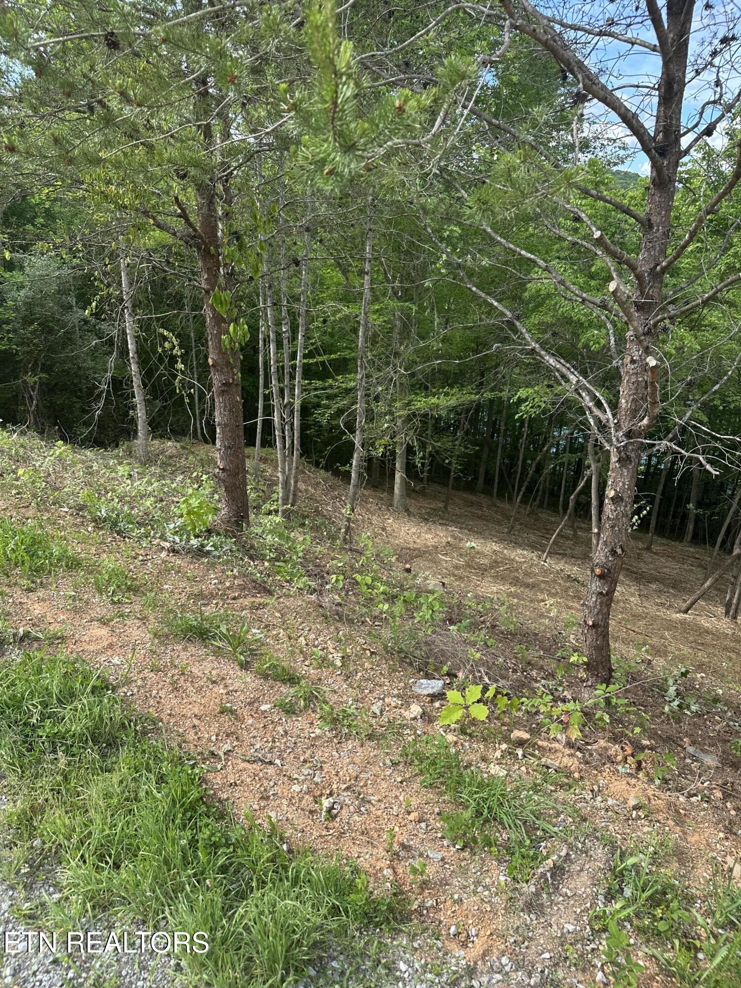 113 Laurel Way La Follette, TN 37766 - Photo 24 of 30 IMG_1154