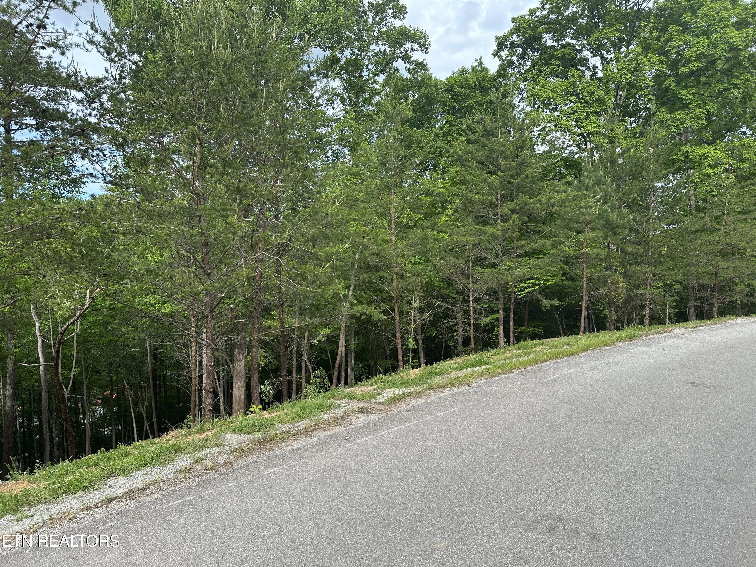 113 Laurel Way La Follette, TN 37766 - Photo 25 of 30 IMG_1157