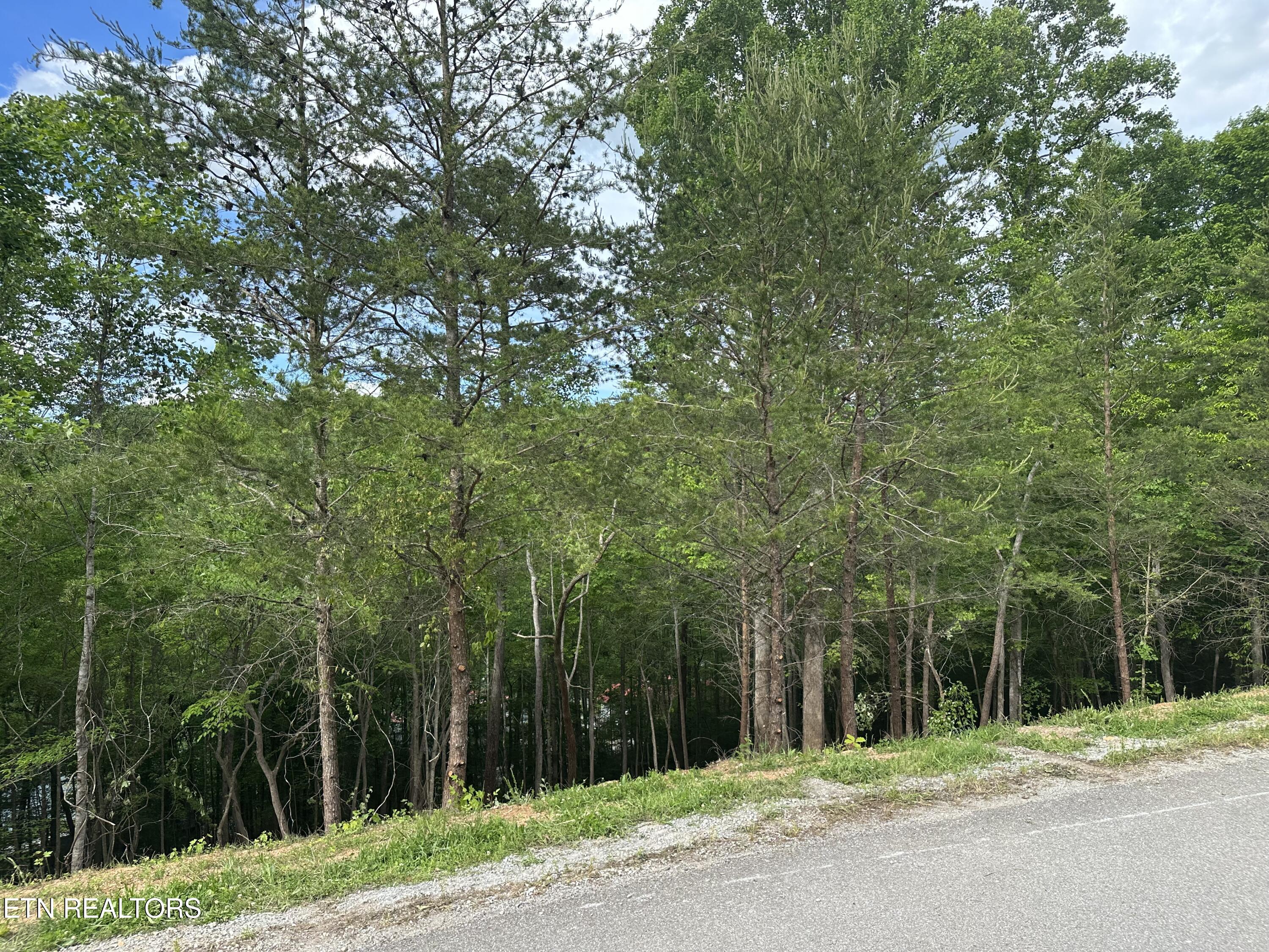 113 Laurel Way La Follette, TN 37766 - Photo 26 of 30 IMG_1156