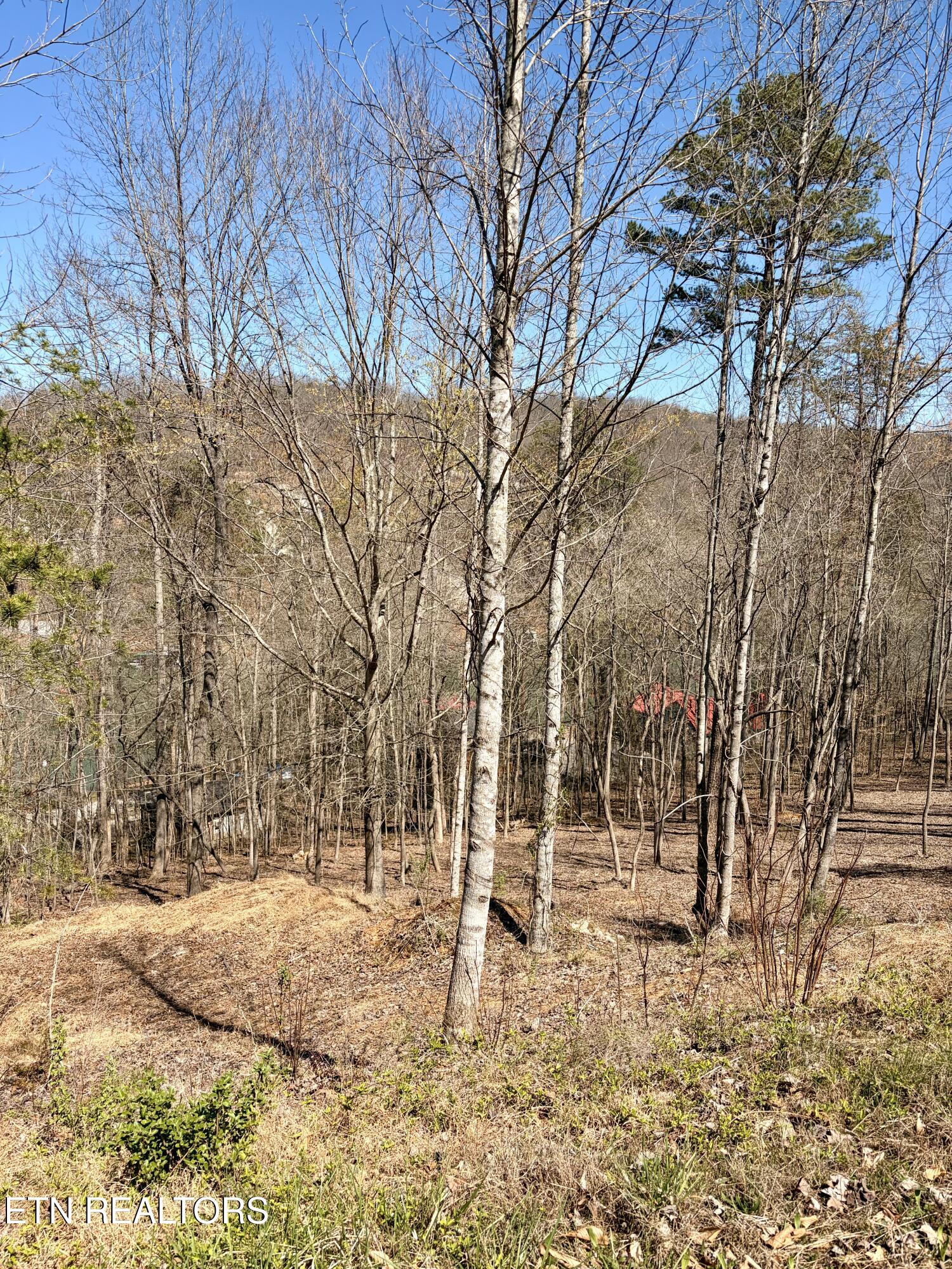 113 Laurel Way La Follette, TN 37766 - Photo 28 of 30 IMG_0032