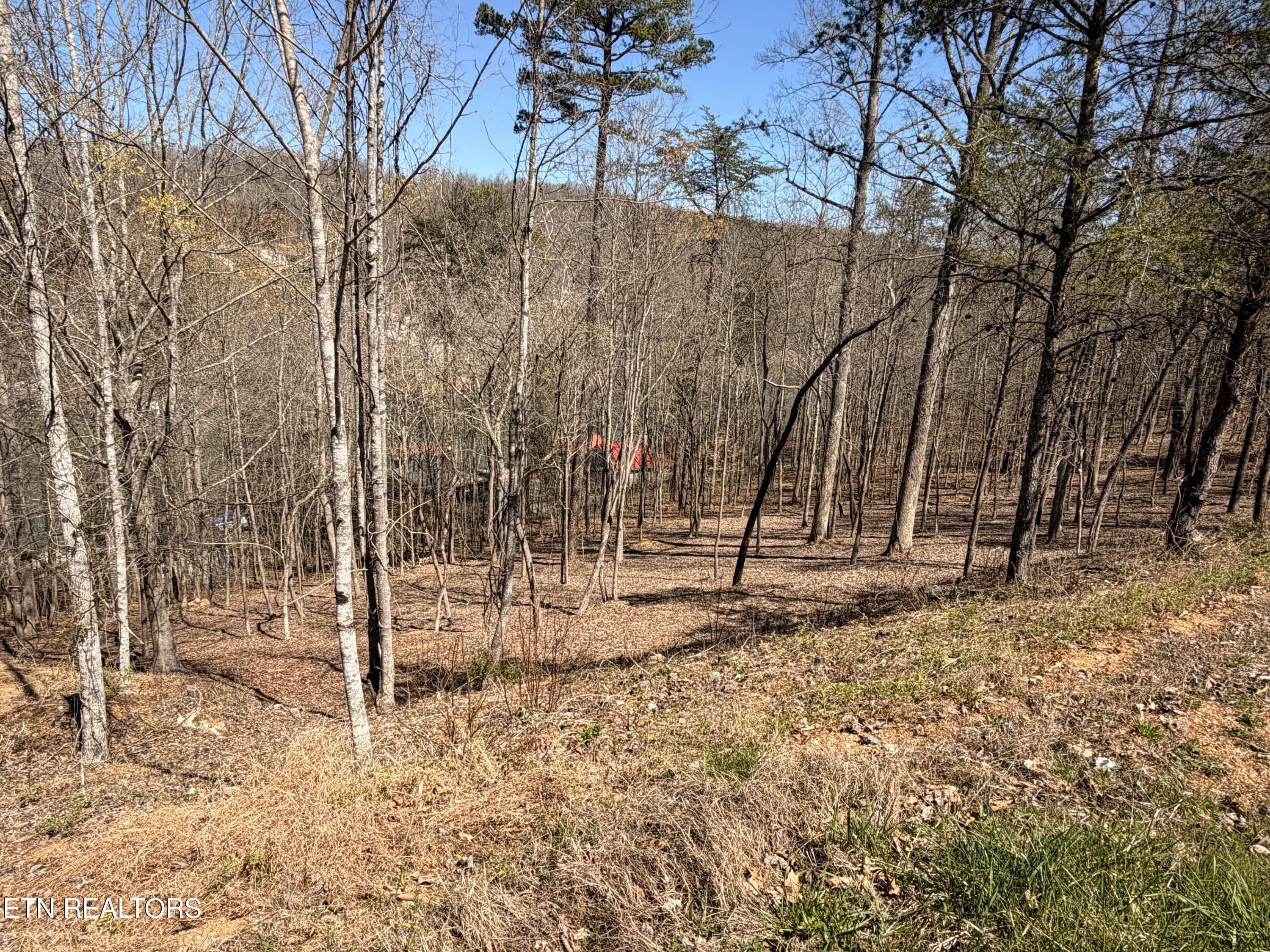 113 Laurel Way La Follette, TN 37766 - Photo 29 of 30 IMG_0036