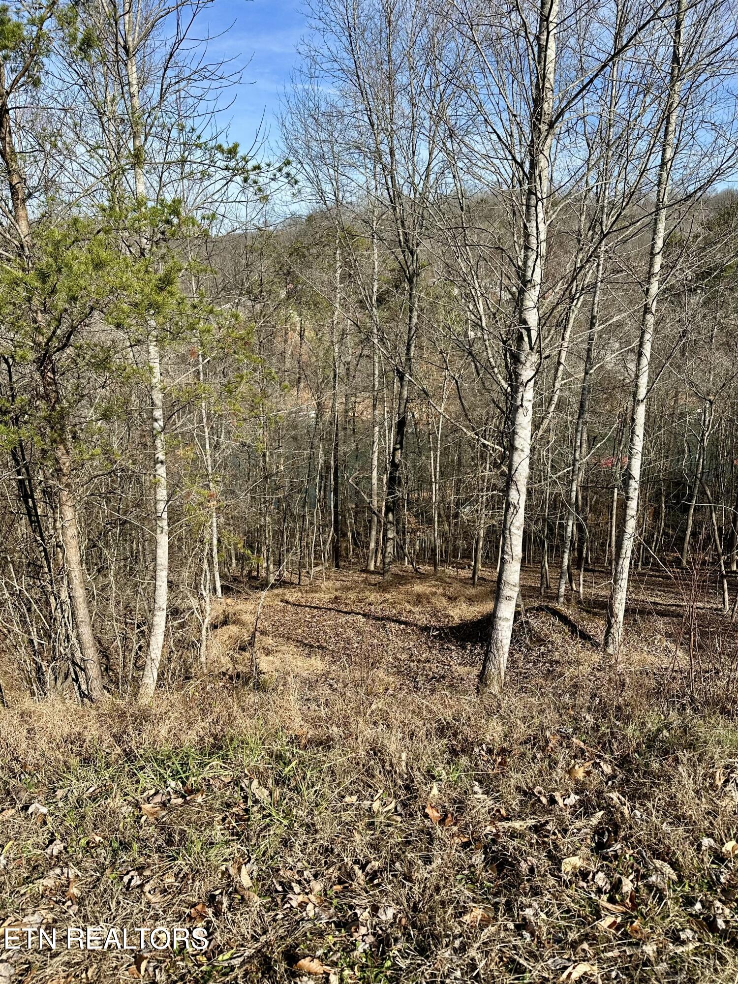113 Laurel Way La Follette, TN 37766 - Photo 6 of 30 IMG_4039