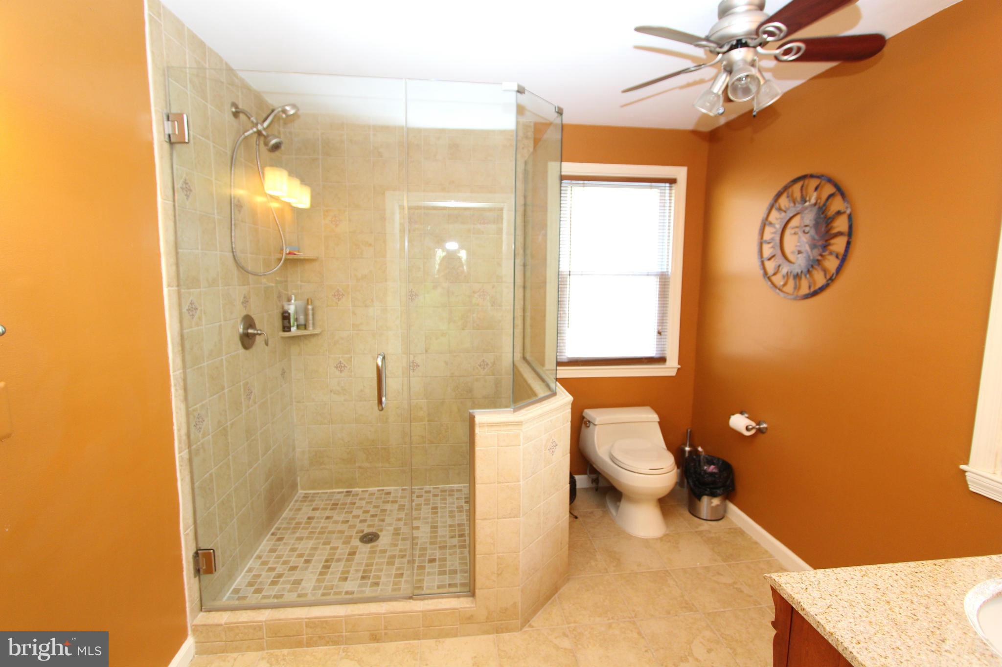 8720 Windsor Mill Road Baltimore, MD 21244 - Photo 18 of 27 a bathroom with a granite countertop toilet sink and shower