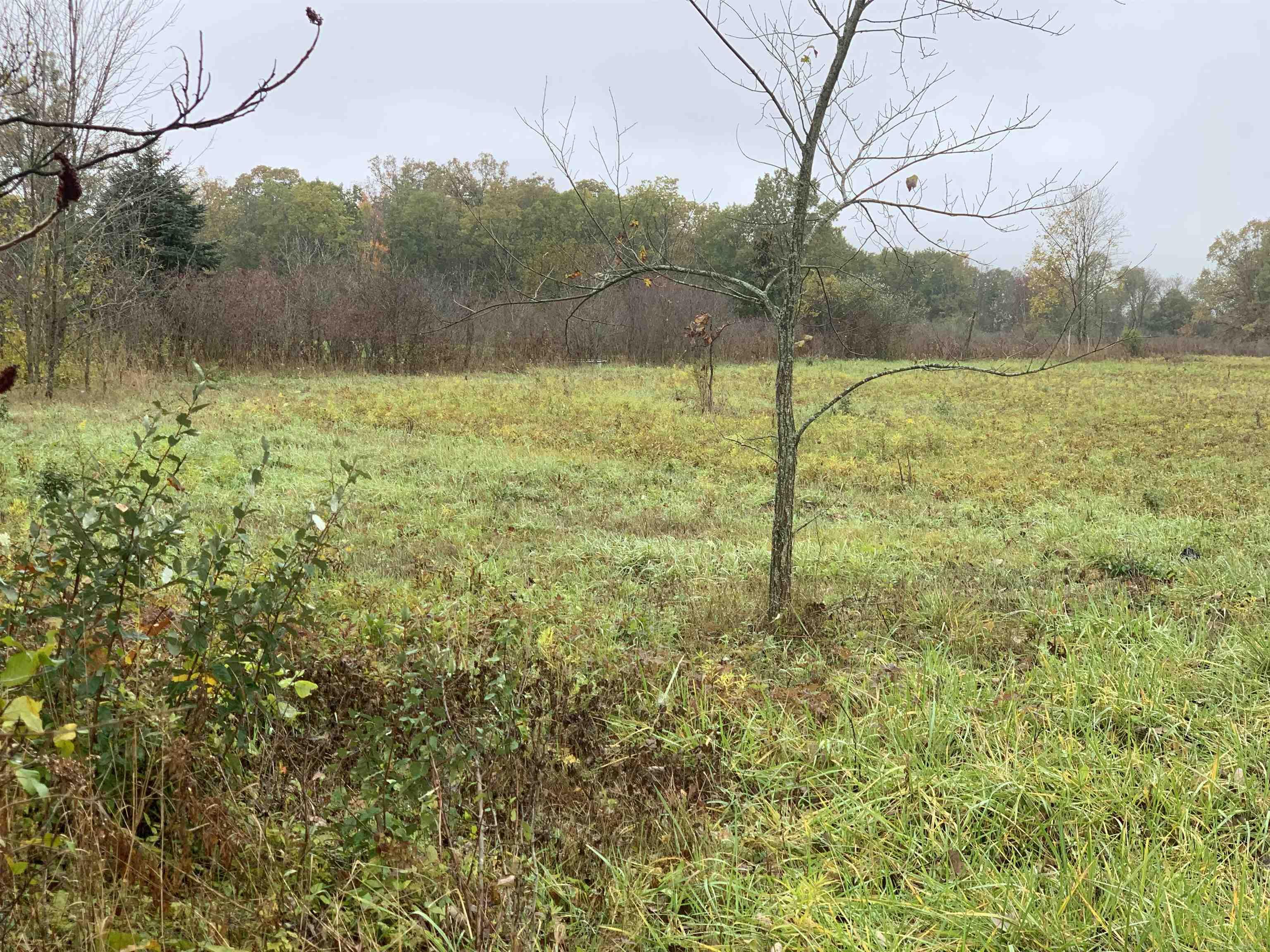 0 Wade Road Capac, MI 48014 - Photo 2 of 8 Gallery Image 2