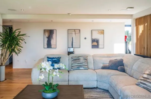 a living room with furniture flowerpot and wooden floor