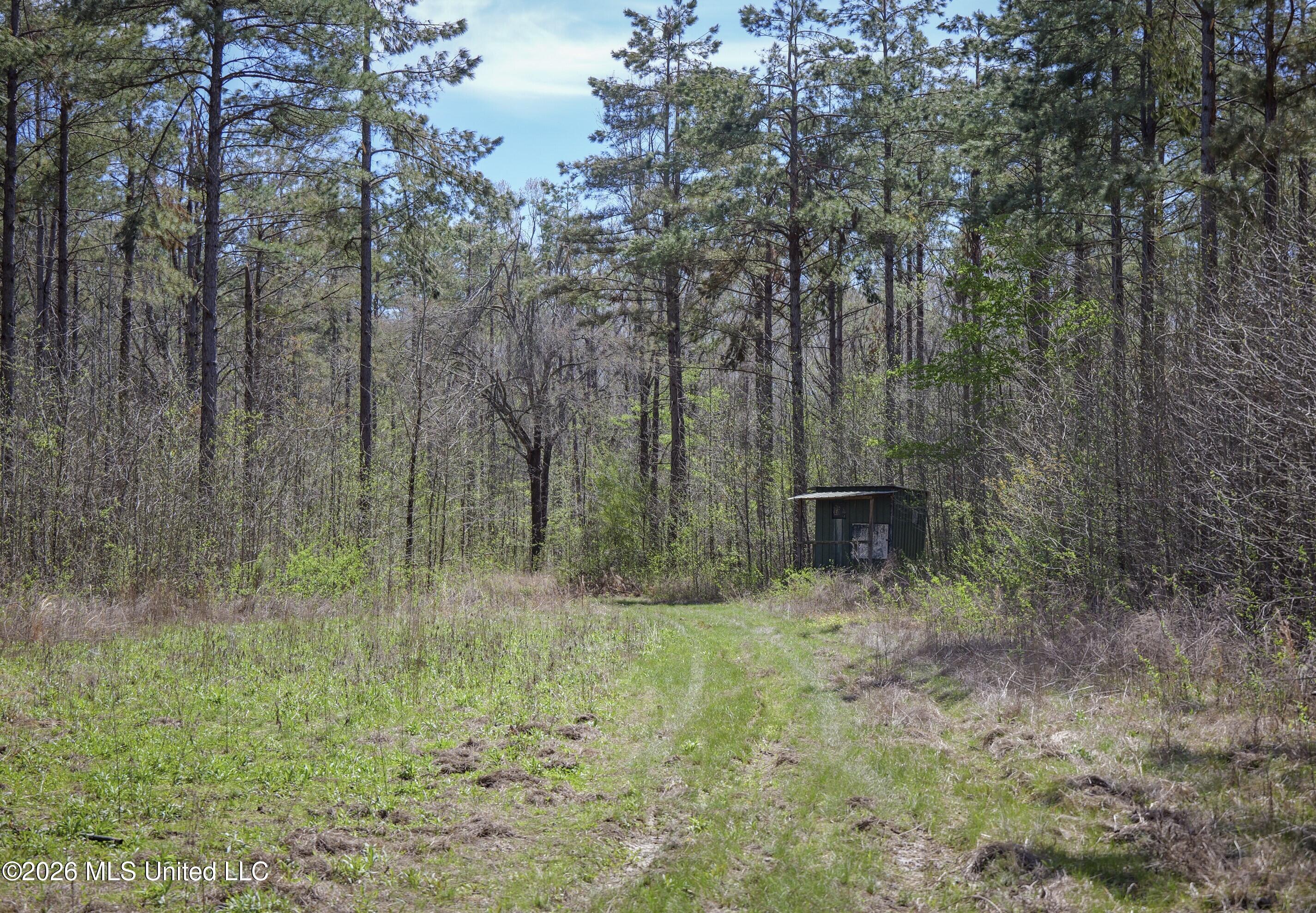 Wise Bend Road Thaxton, MS 38871 - Photo 15 of 22 8