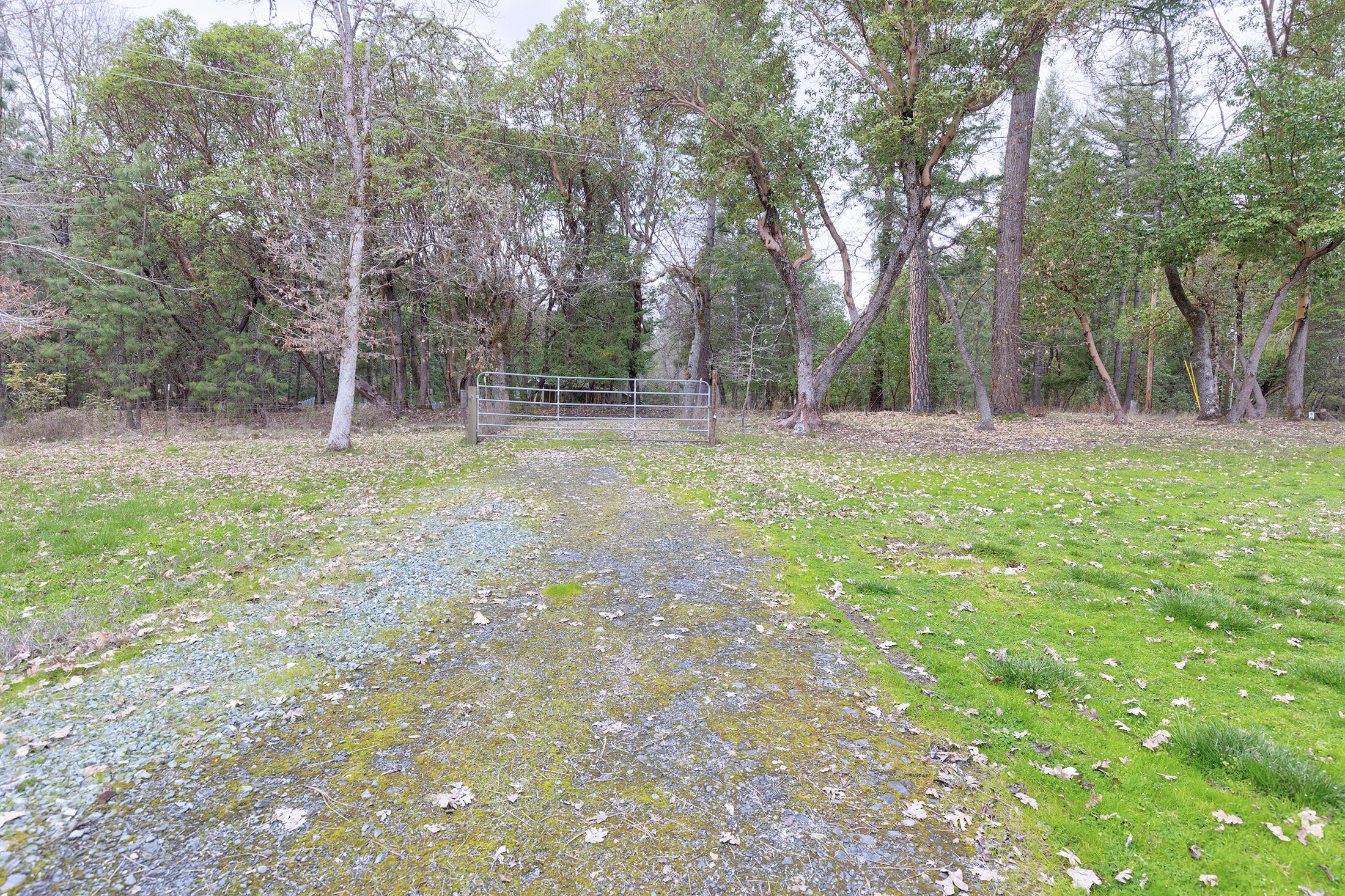 1678 Russell Road Merlin, OR 97532 - Photo 53 of 65 0R1A2433_4_5_6_7