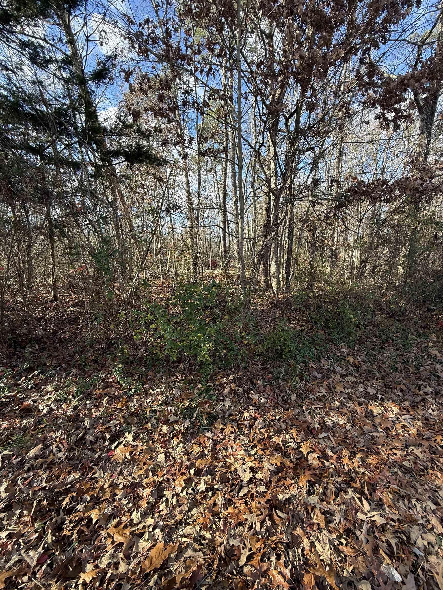 155-161 Spring Road Millville, NJ 08332 - Photo 2 of 7 Gallery Image 2
