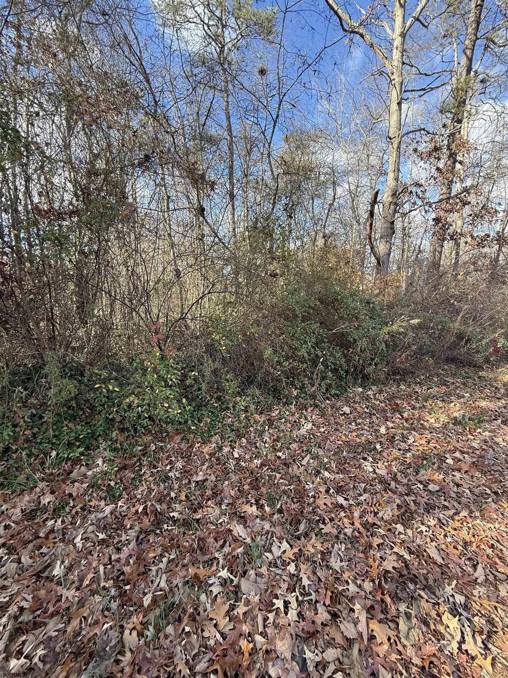 155-161 Spring Road Millville, NJ 08332 - Photo 3 of 7 Gallery Image 3