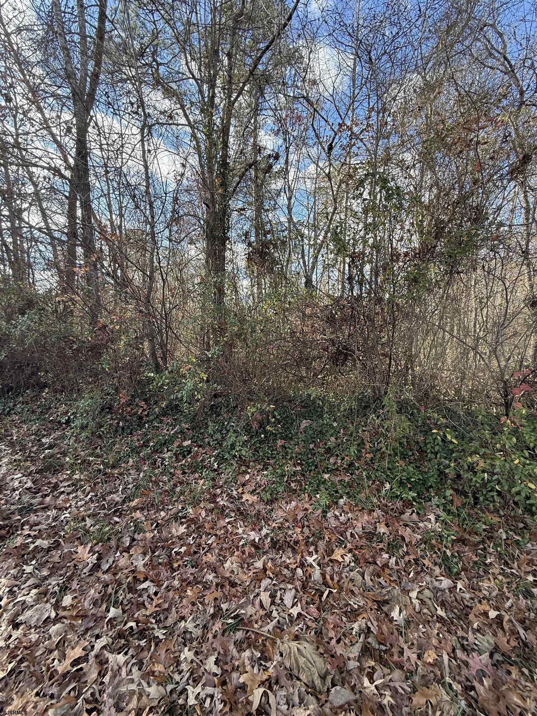 155-161 Spring Road Millville, NJ 08332 - Photo 4 of 7 Gallery Image 4