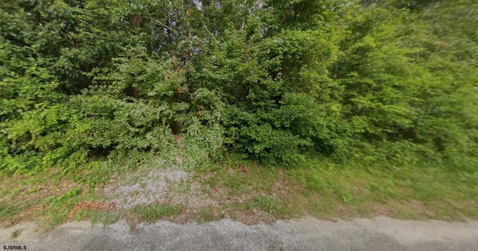 155-161 Spring Road Millville, NJ 08332 - Photo 6 of 7 Gallery Image 6