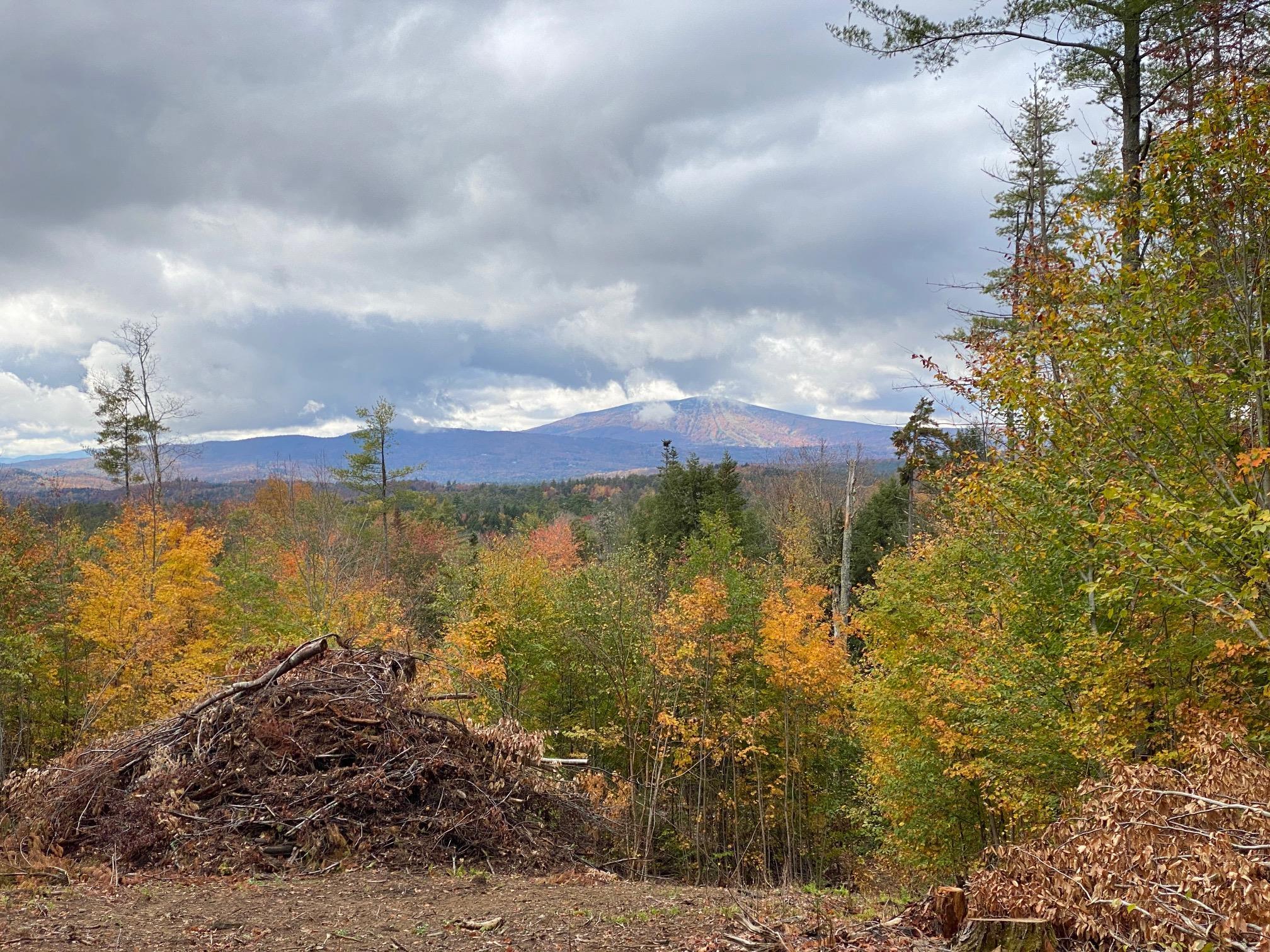 0 Stoney Brook Road Londonderry, VT 05148 - Photo 18 of 20