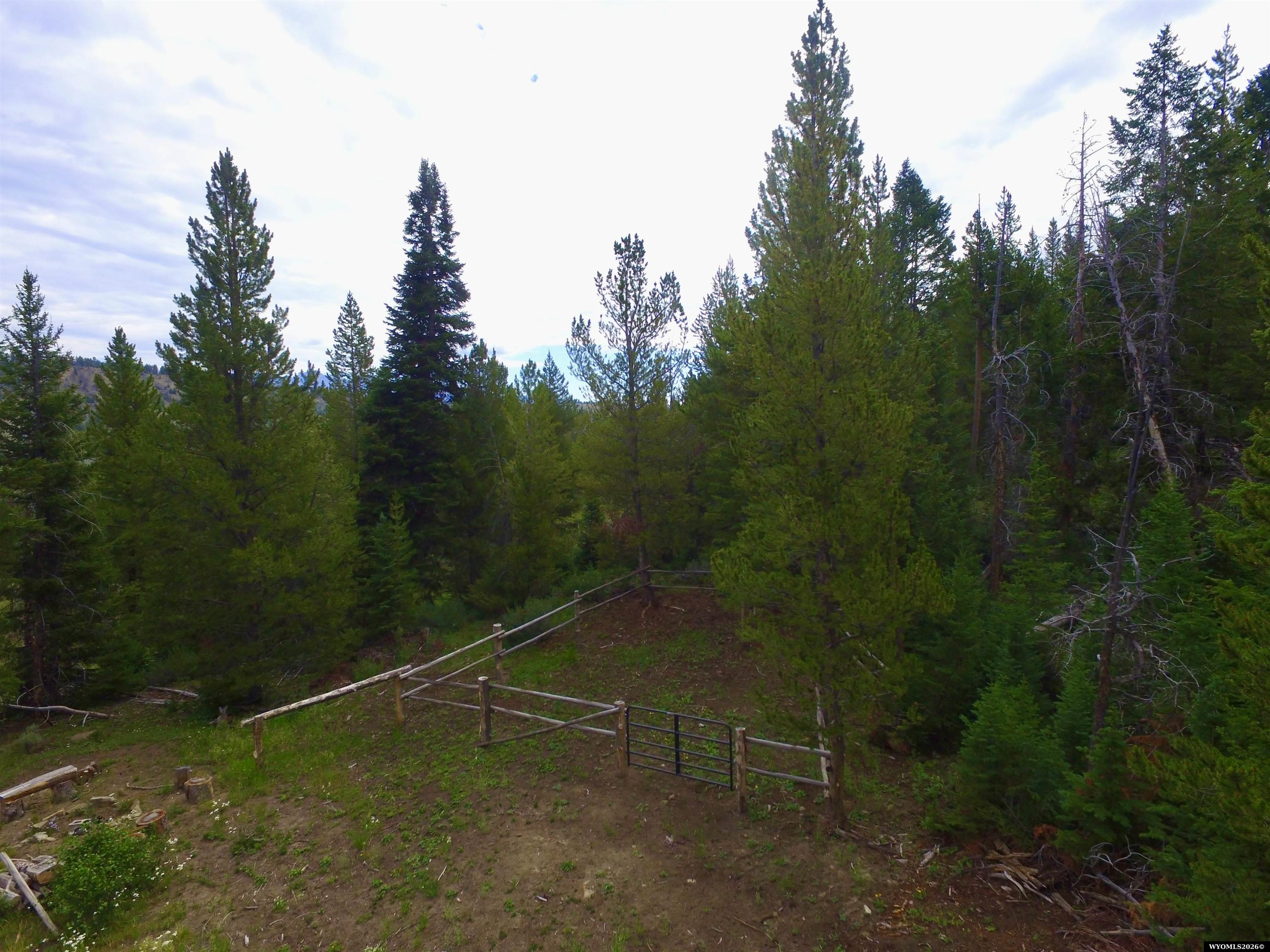 Gallery Image 6