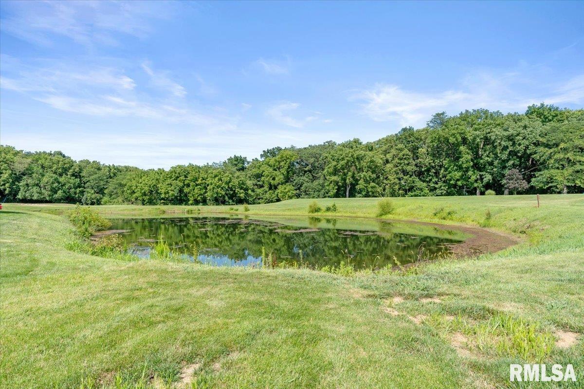 2405 Rosewell Point Springfield, IL 62711 - Photo 40 of 49 Gallery Image 40