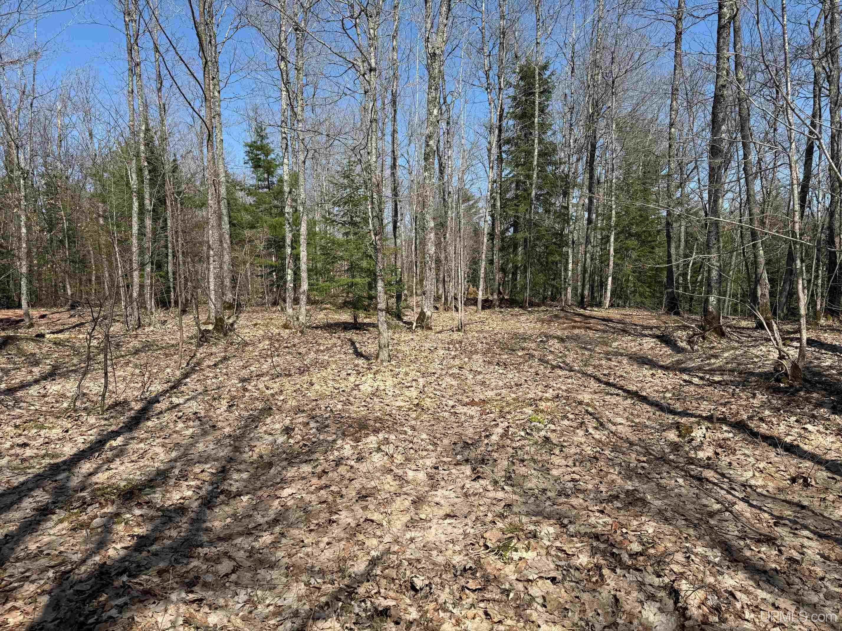 Tbdb Winona Road Toivola, MI 49965 - Photo 13 of 20