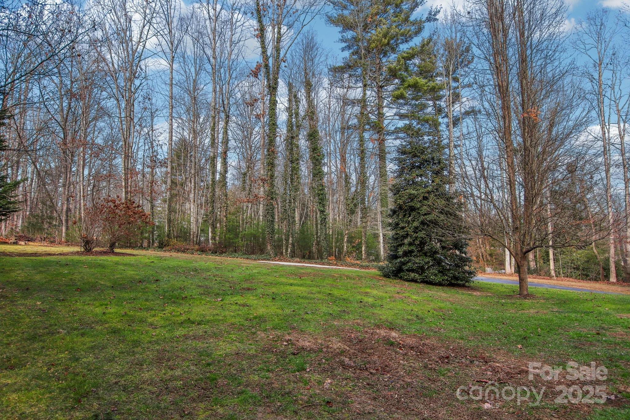 273 Quail Ridge Road Mills River, NC 28759 - Photo 41 of 41 Gallery Image 41