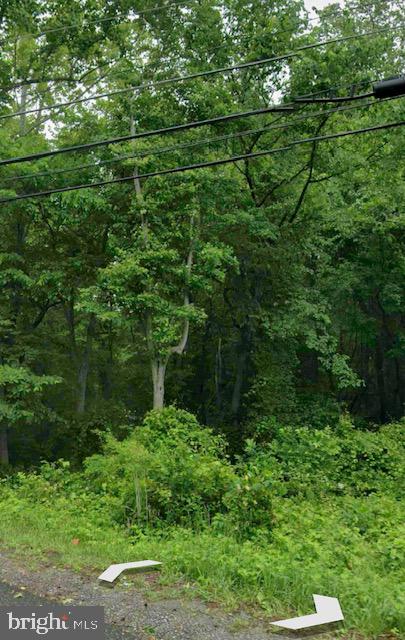 Old Indian Head Road Upper Marlboro, MD 20772 - Photo 12 of 13