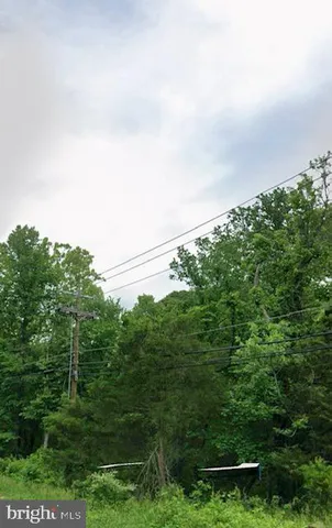a view of a field of grass and trees