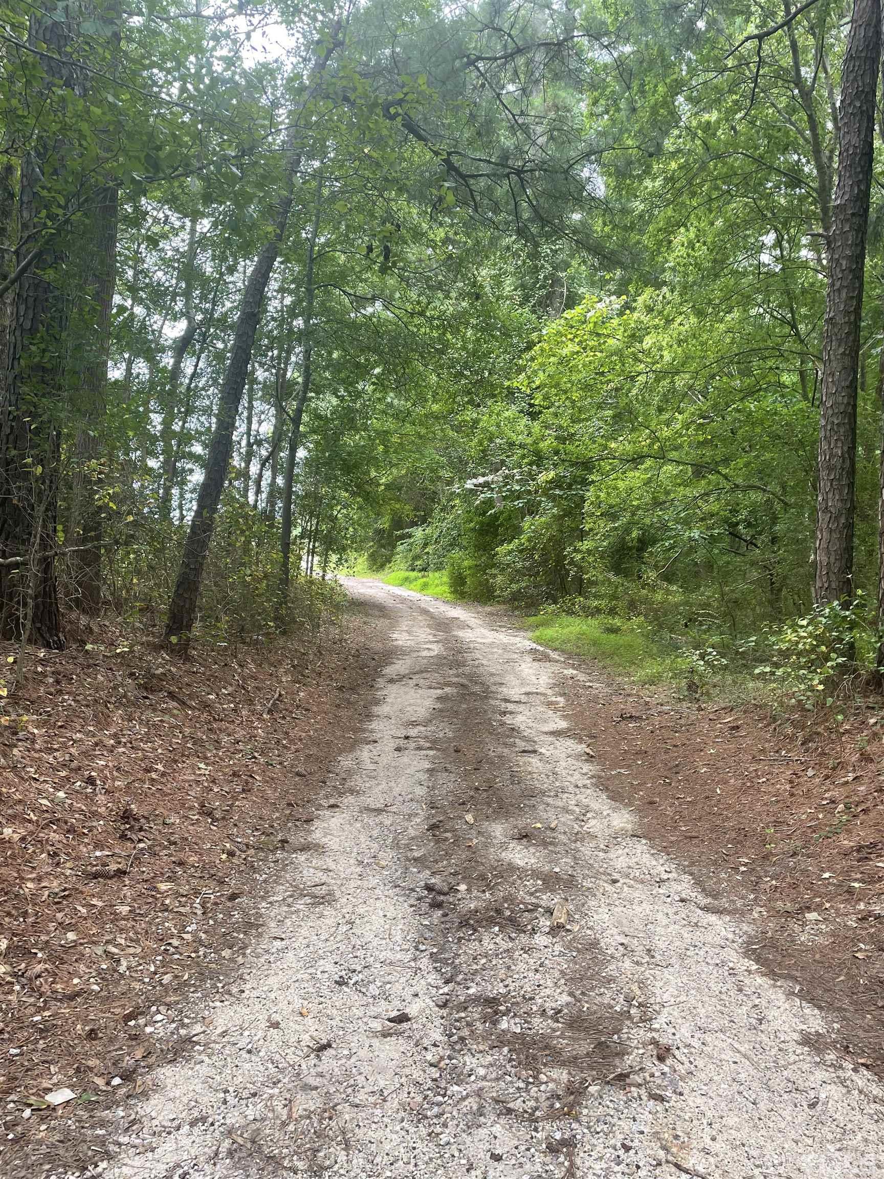 7826 Poole Road Raleigh, NC 27610 - Photo 2 of 8 Gallery Image 2