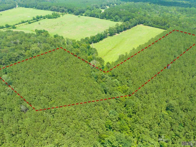 $85,900 | Tbd Tbd Peterson Road, Clinton, LA 70722